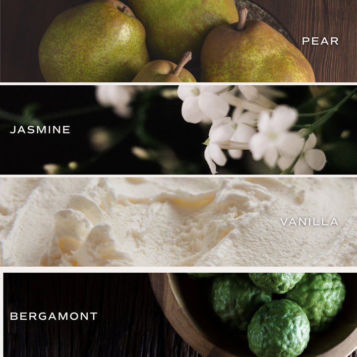 Cashmere and Vanilla Reed Diffuser