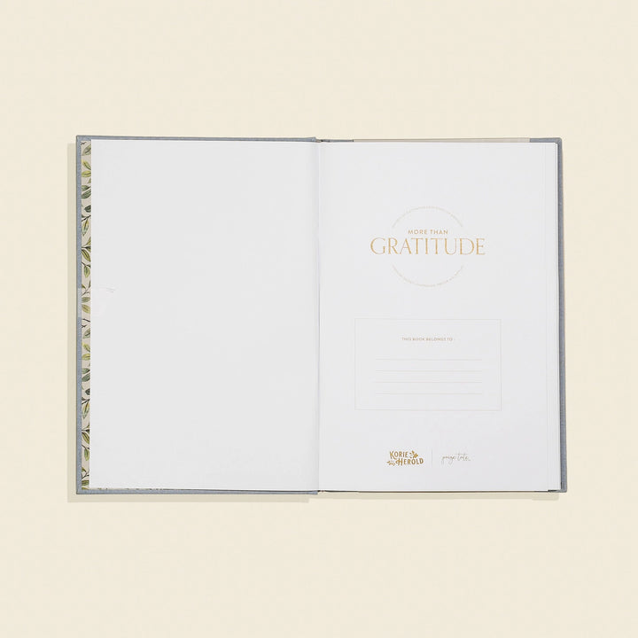 More Than Gratitude: A Christian Guided Journal