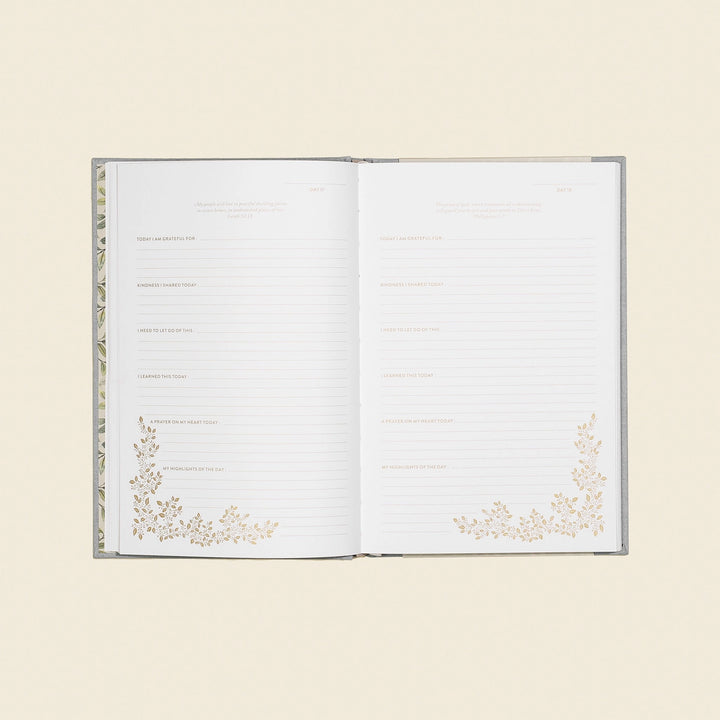 More Than Gratitude: A Christian Guided Journal