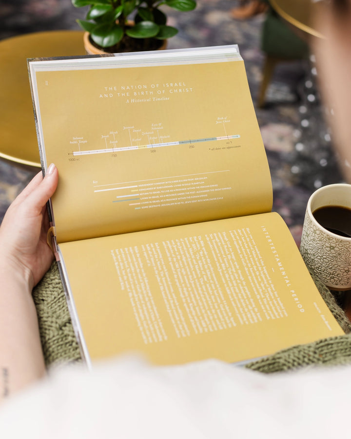 The Bible Handbook: A Book-By-Book Guide To the Entire Bible