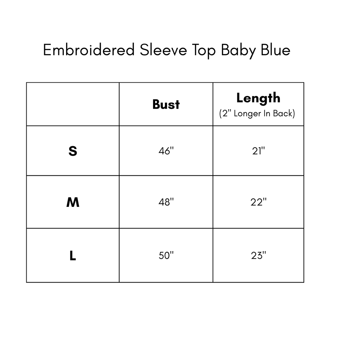 Embroidered Sleeve Top - Baby Blue