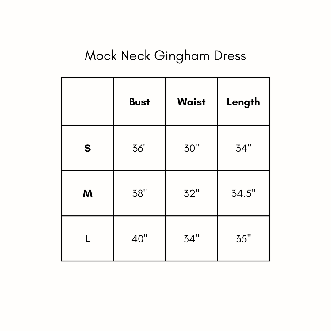 Mock Neck Gingham Dress