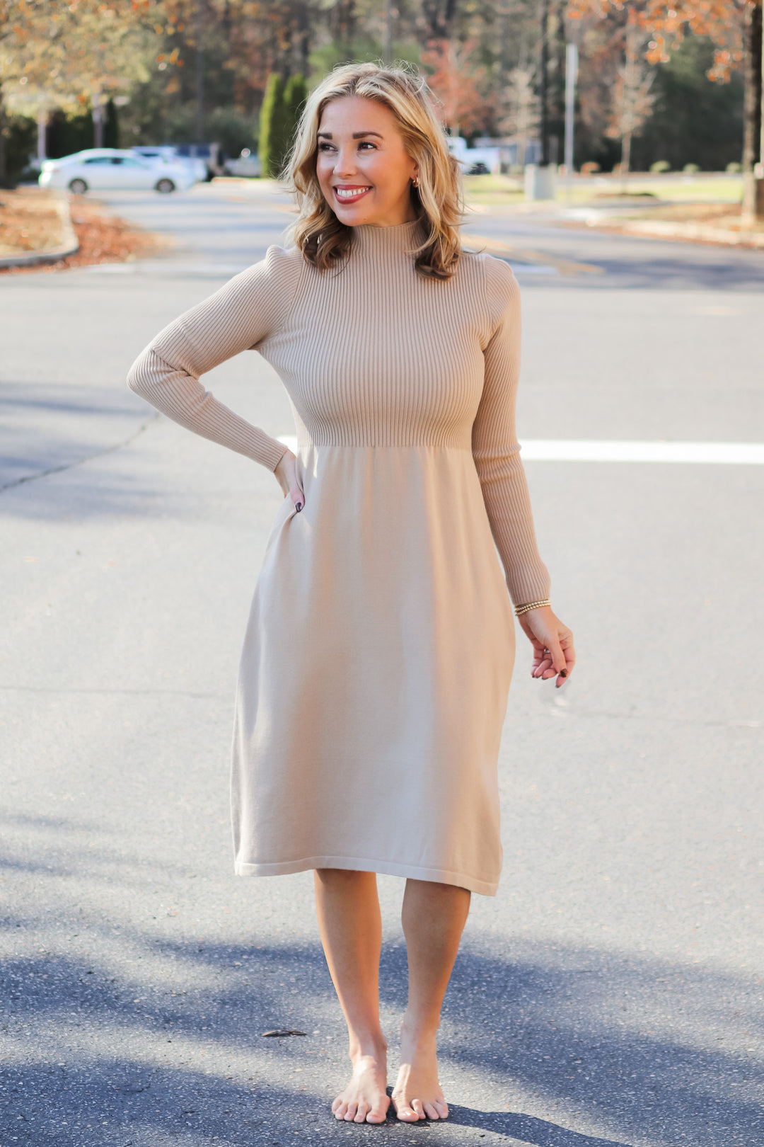 Fit & Flare Sweater Dress - Taupe