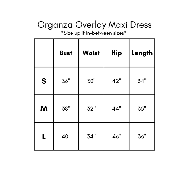 Organza Printed Maxi Dress