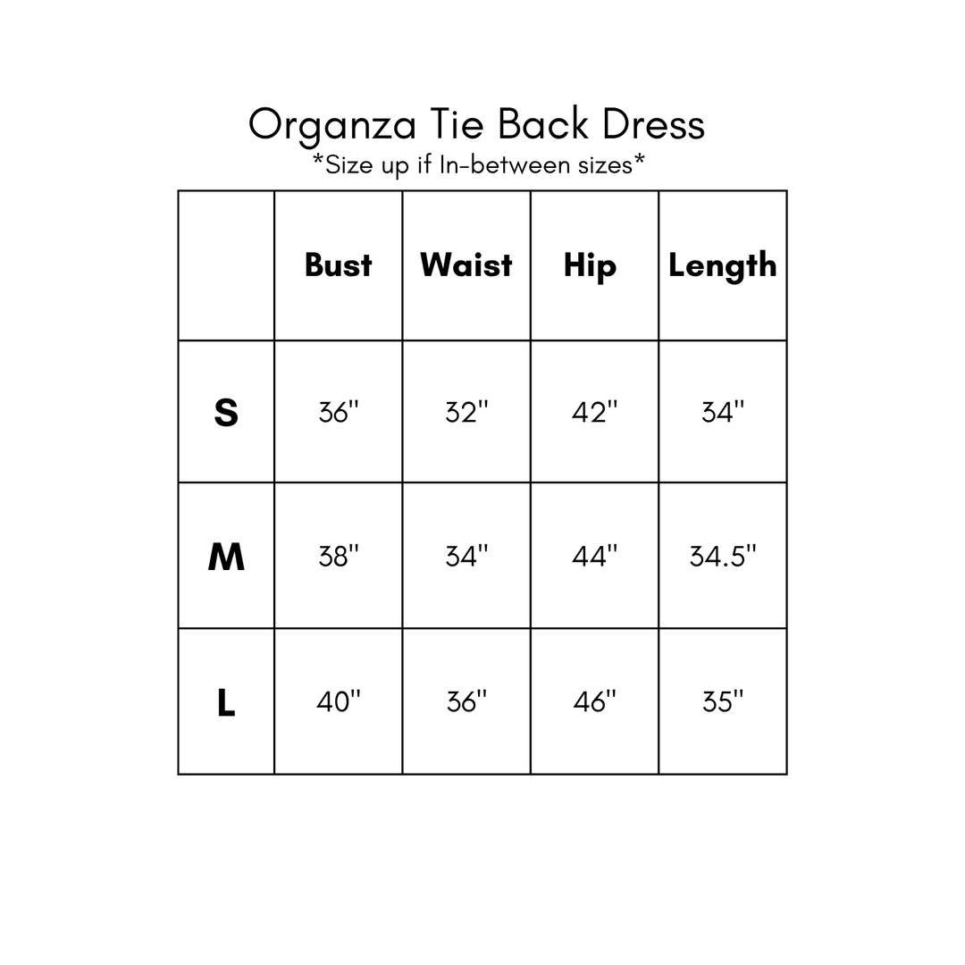 Organza Tie Back Dress - Brown