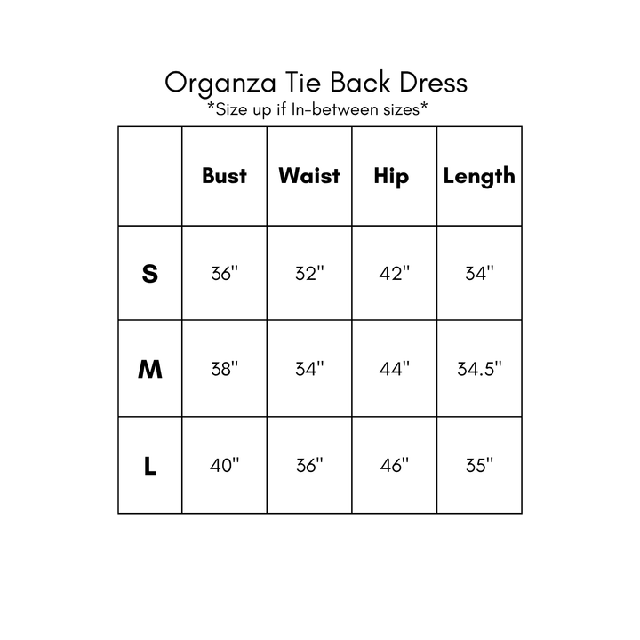 Organza Tie Back Dress - Brown